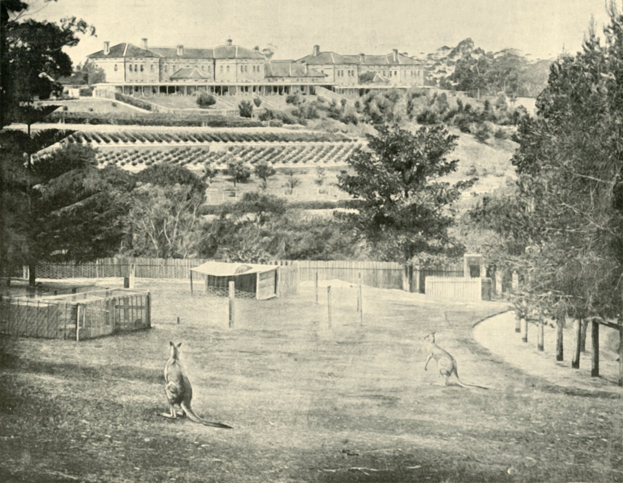 Asile de Gladesville pour les aliénés, Nouvelle-Galles du Sud, 1901 - Unbekannt