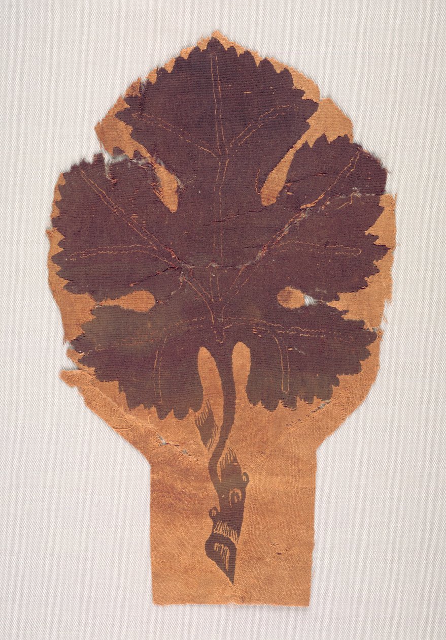 Feuilles de vigne d