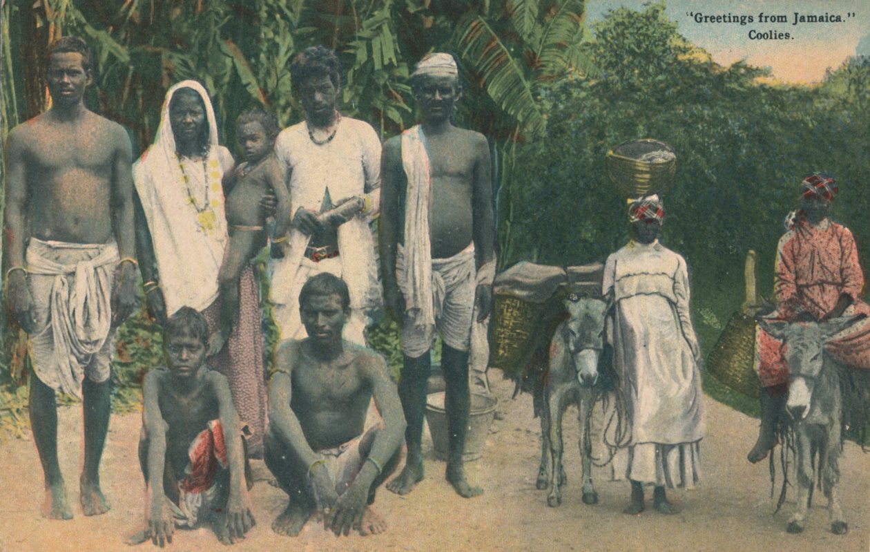 Salutations de la Jamaïque. Coolies, début 20e siècle - Unbekannt