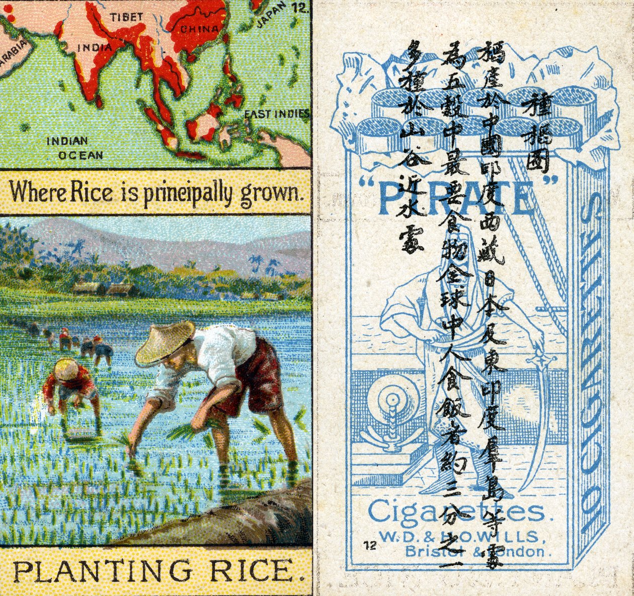 Culture et plantation du riz, de la série de cartes de cigarettes 