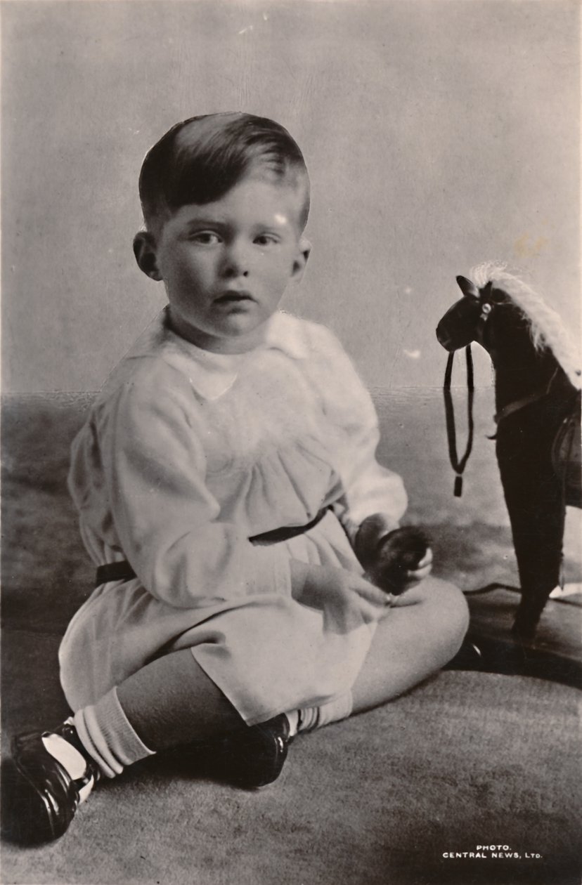 Le fils aîné de S.A.R. la princesse Mary, l