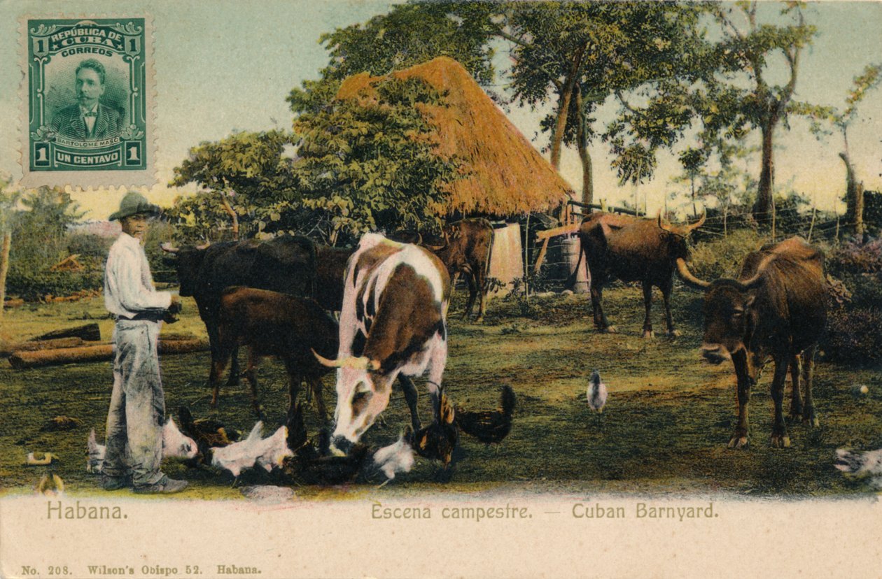 Habana. Scène campagnarde - Cour de ferme cubaine - Unbekannt