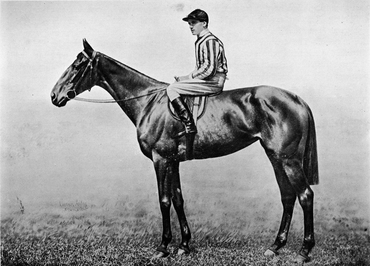 Fierté des hacklers, vers 1860, 1911 - Unbekannt