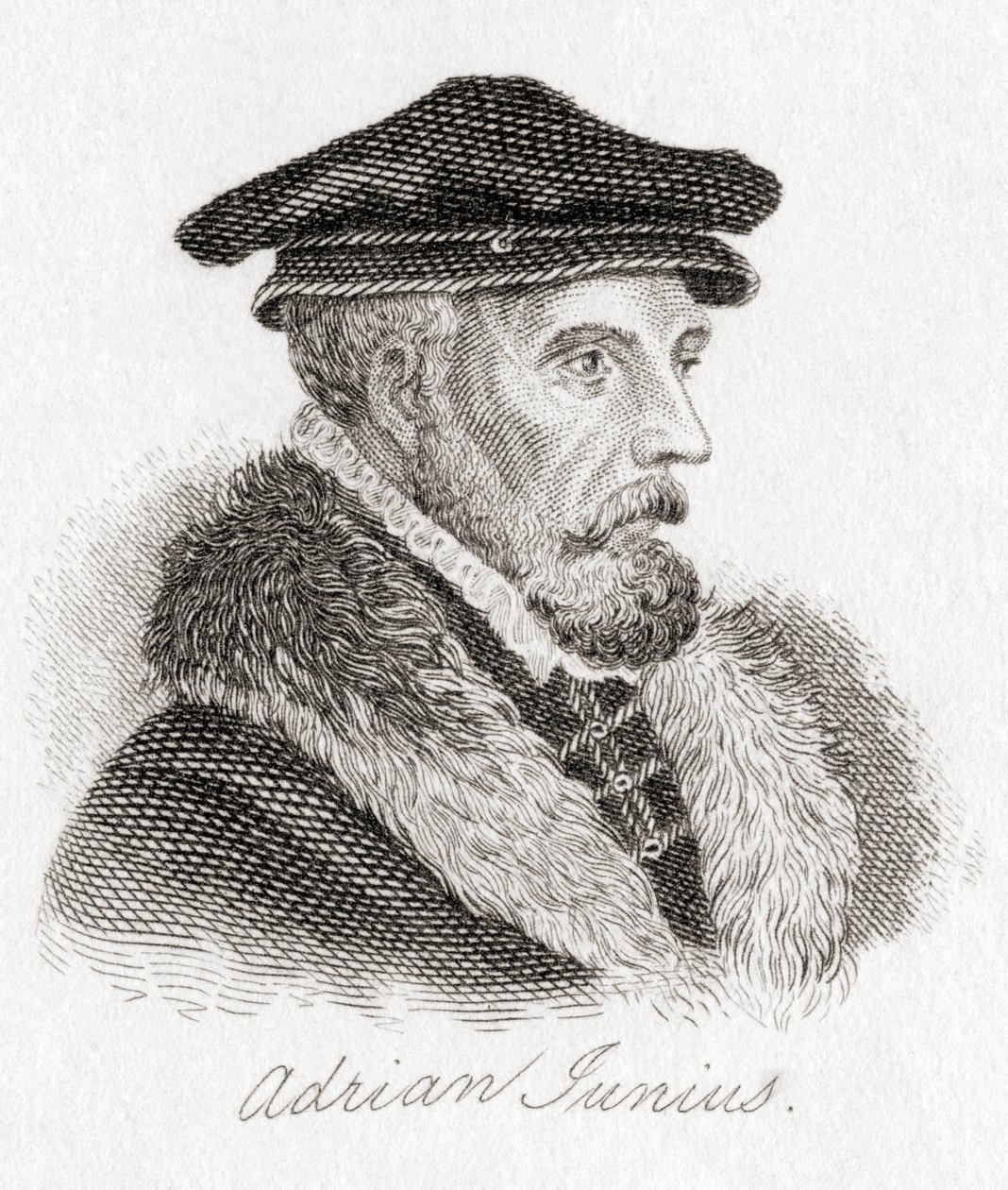 Hadrianus Junius, 1511-1575, alias Adriaen de Jonghe - Unbekannt
