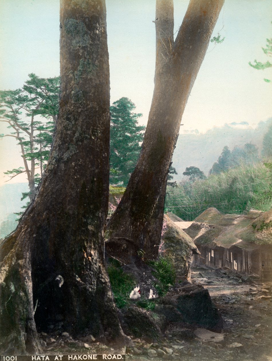 Hata sur la route de Hakone, Japon, début du XXe siècle - Unbekannt