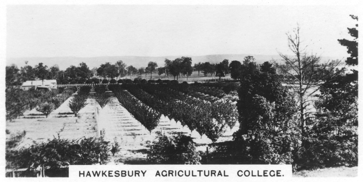 Collège agricole de Hawkesbury, Nouvelle-Galles du Sud, Australie, 1928 - Unbekannt