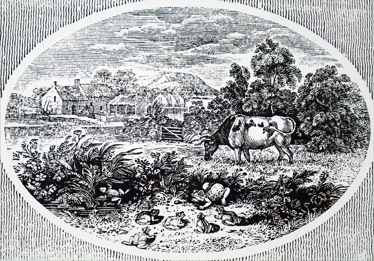 En-tête par Thomas Bewick - Unbekannt