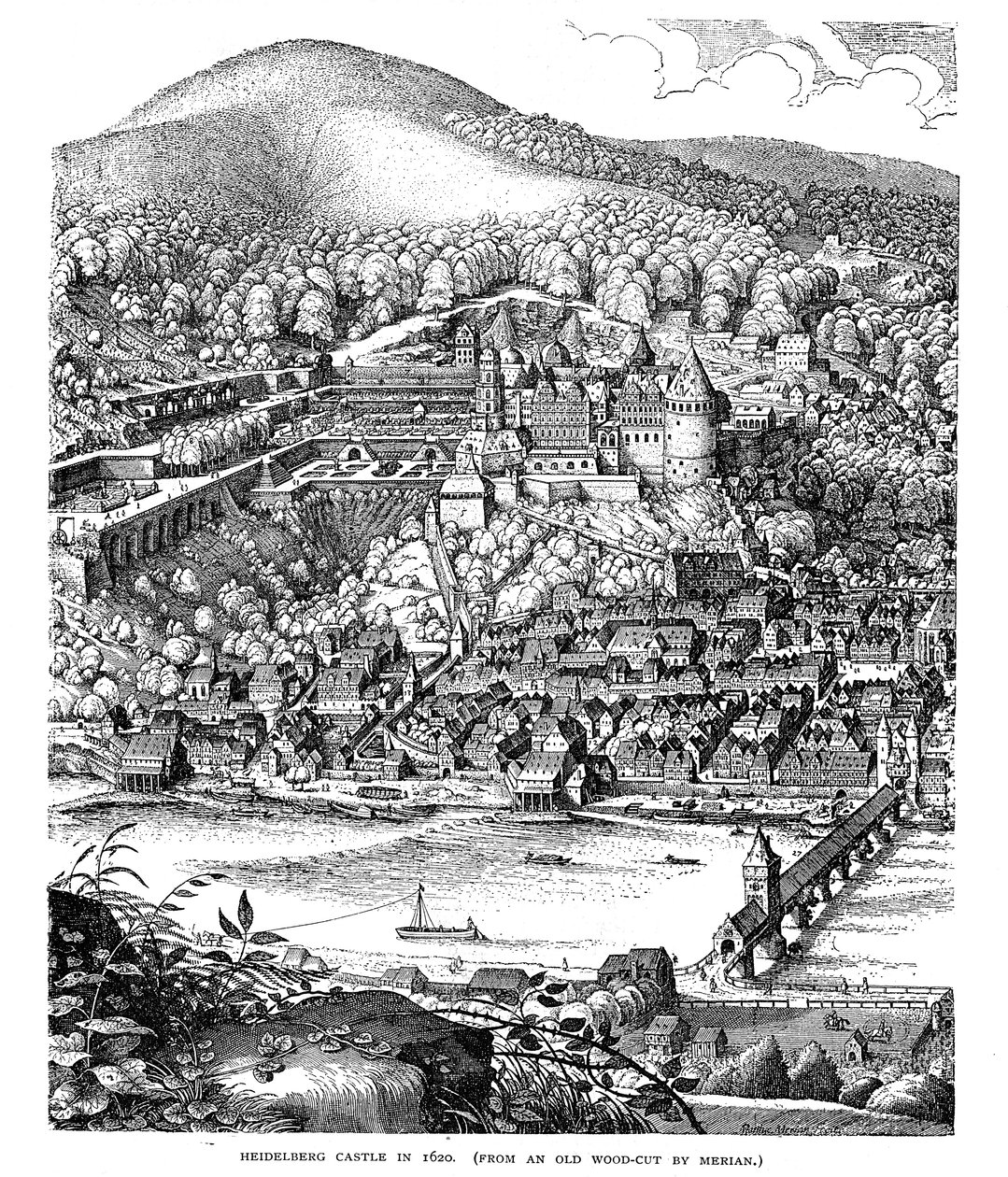 Château de Heidelberg et ville vue de l