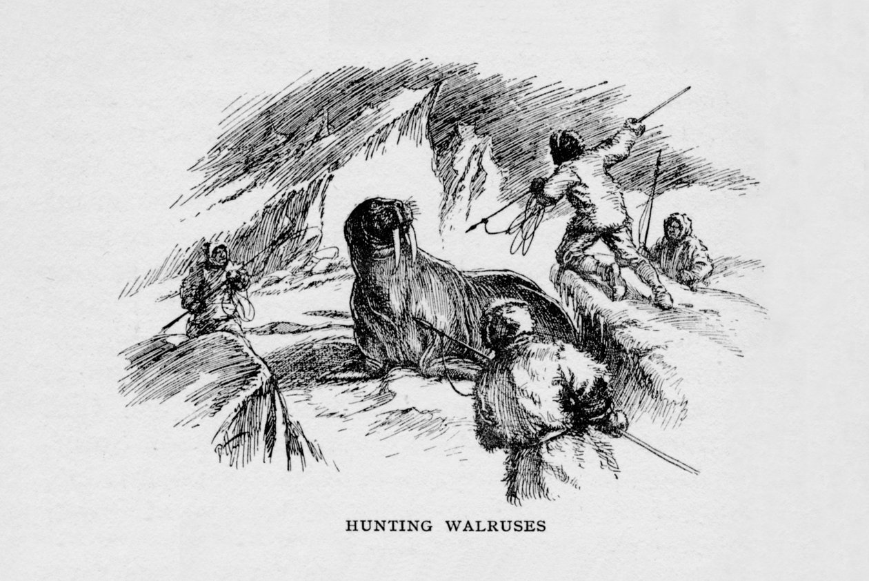 Chasse aux morses, vers 1927-1928 - Unbekannt