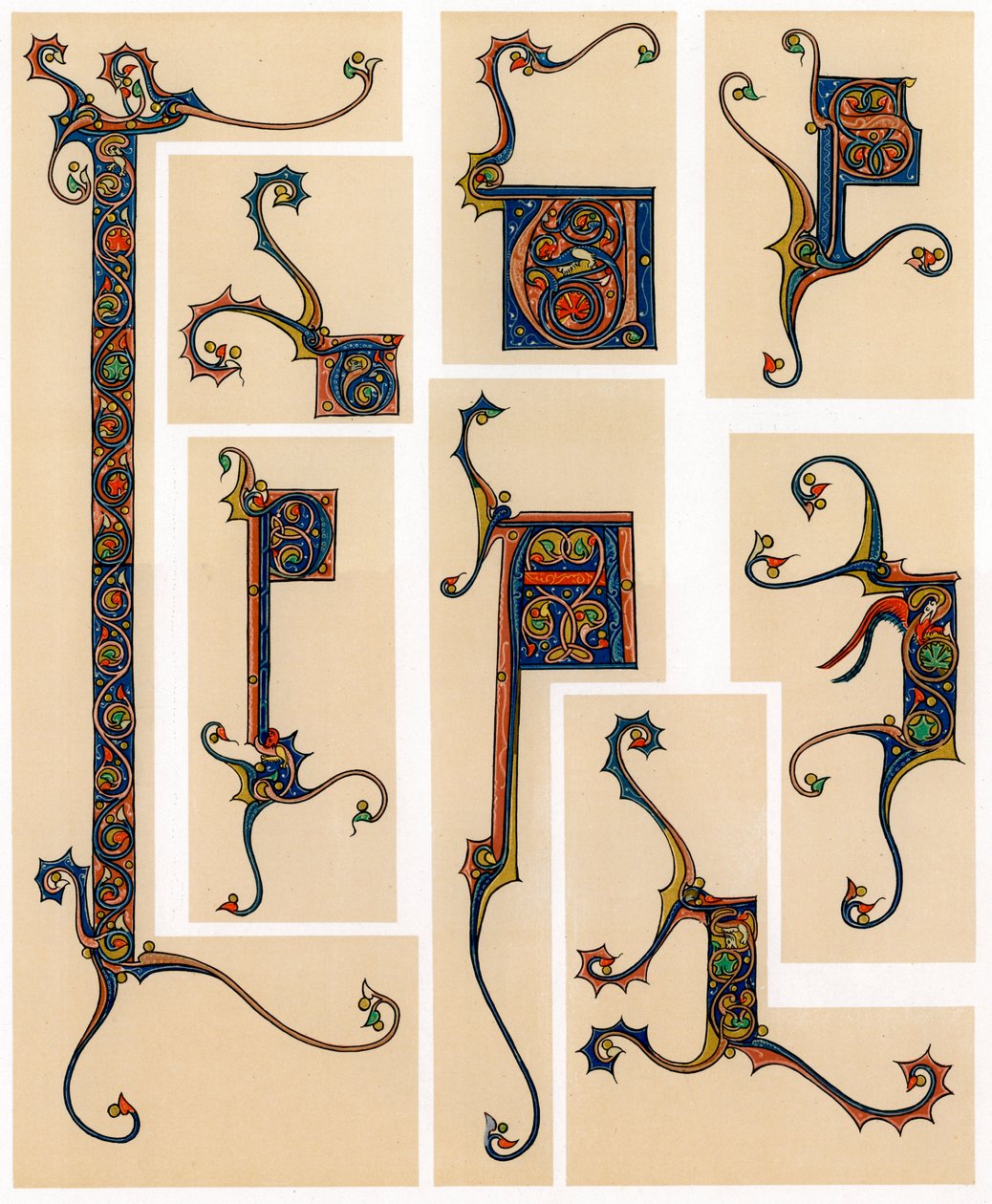 Lettres initiales illuminées, 13e siècle - Unbekannt