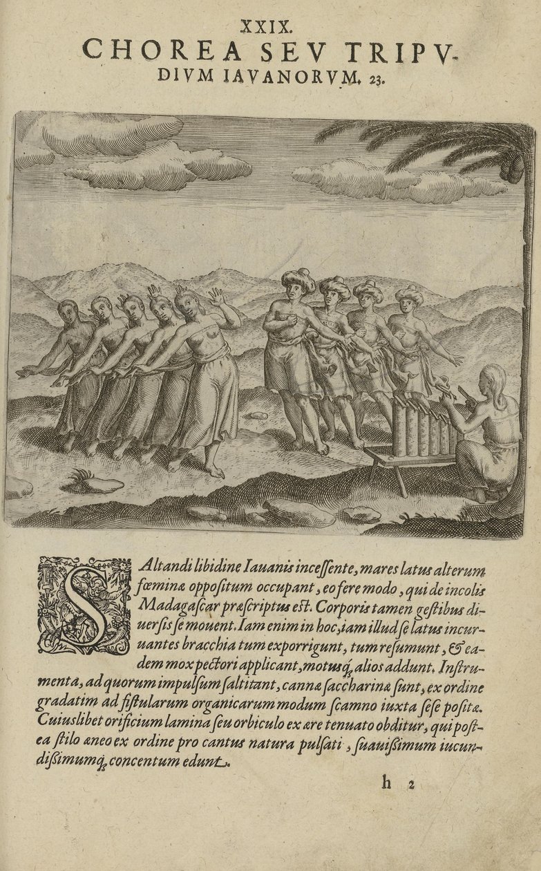 Illustration tirée du livre India Orientalis par un auteur inconnu et publié par Excudebat Matthaeus Beckerus - Unbekannt