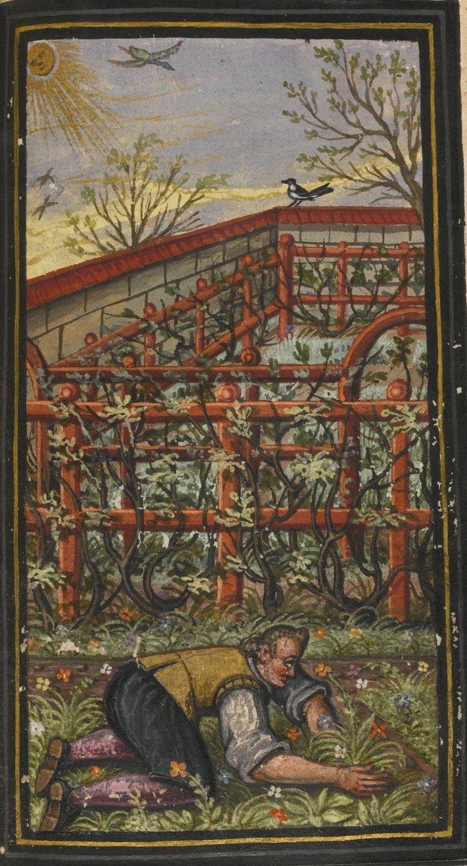 Illustration pour Le merveilleux été de la vie éternelle de Jacob Zader, 1603 - Unbekannt