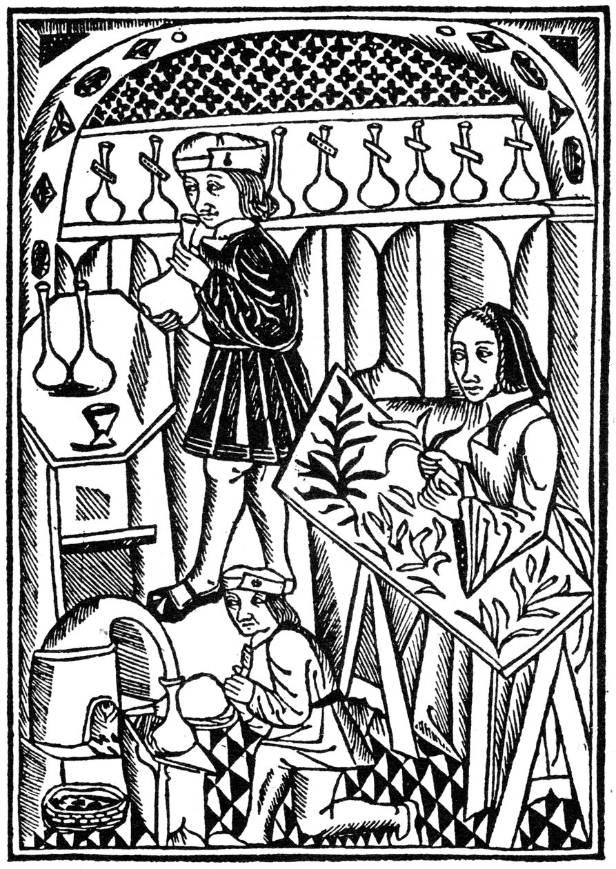 Illustration de Le Propriétaire des Choses, 1500 - Unbekannt