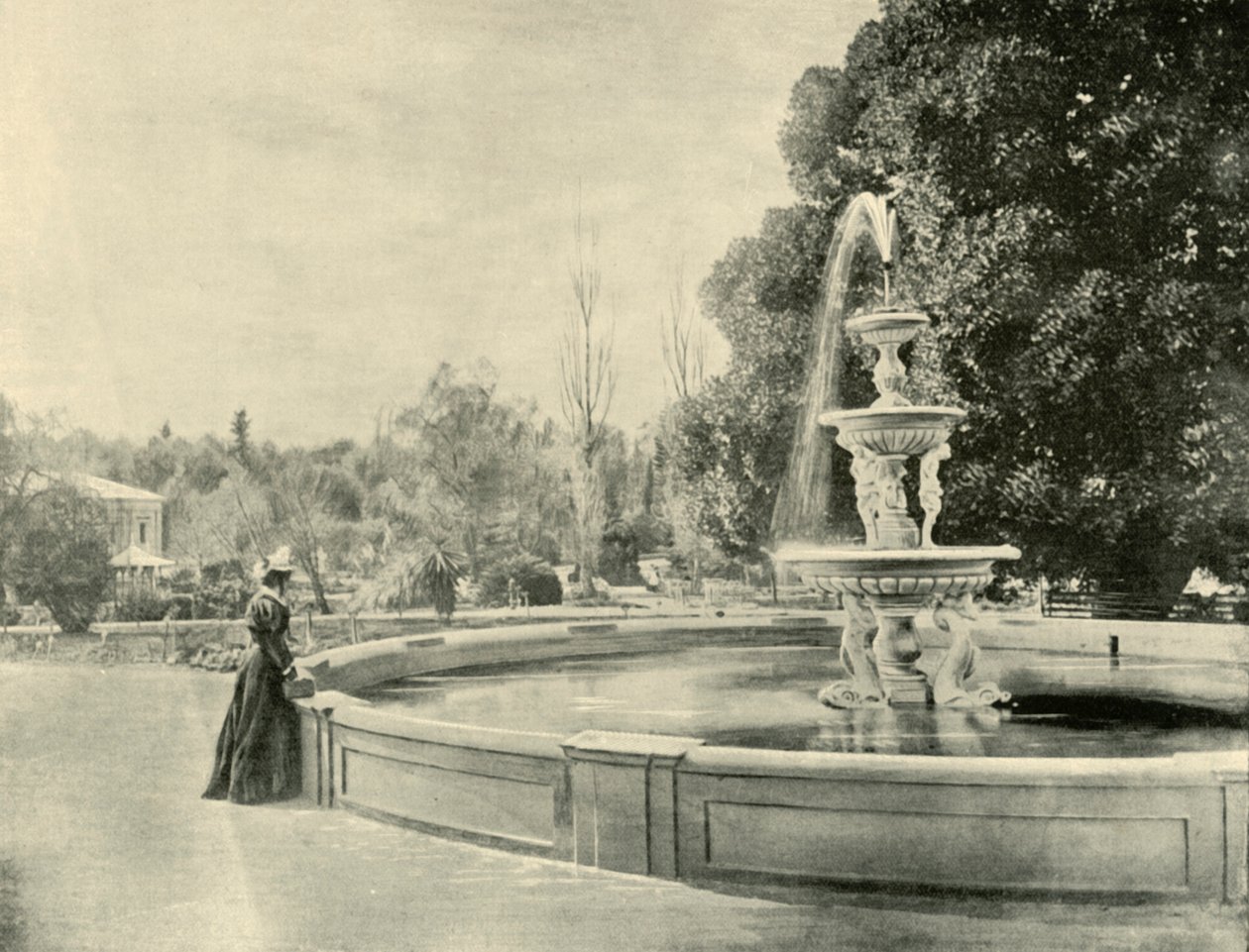 Dans les jardins botaniques, Adélaïde - Unbekannt