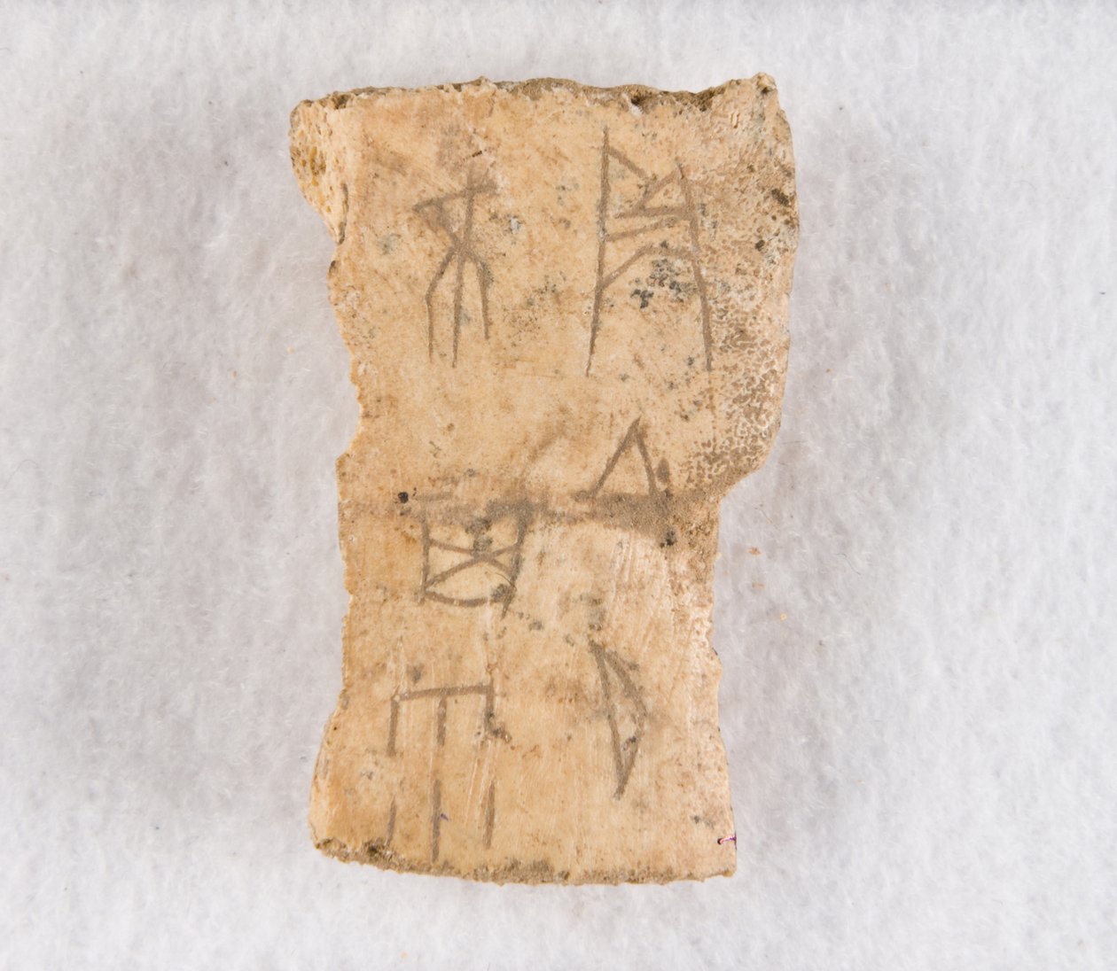 Fragment d