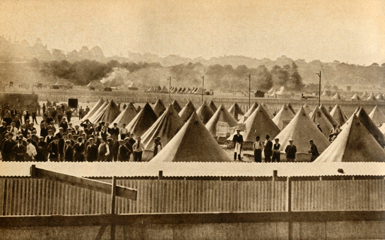 Camp d