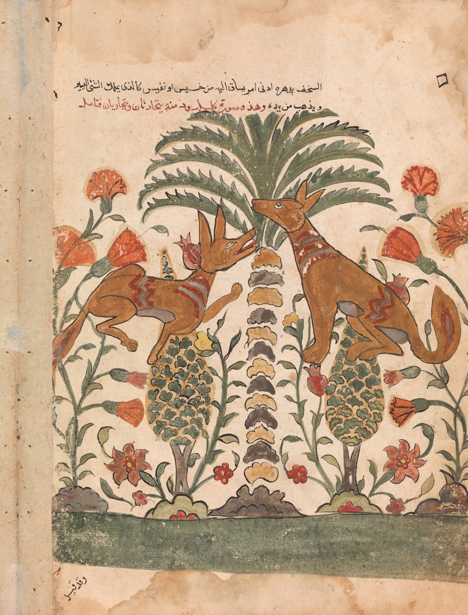 Kalila réprimandant Dimna, Folio d