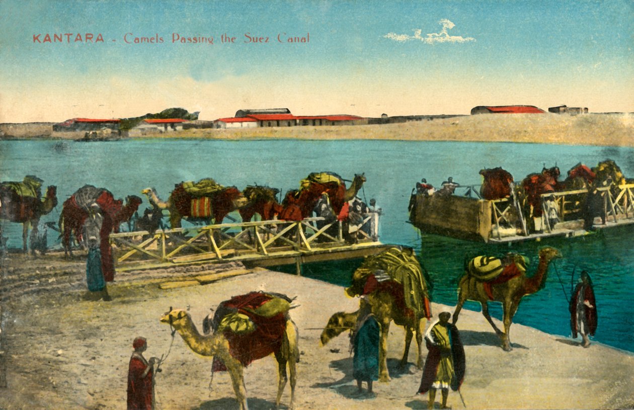 Kantara - Chameaux passant le canal de Suez, c. 1918-c. 1939 - Unbekannt