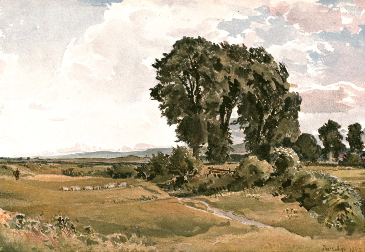Paysage, près de Wareham, Dorset - une esquisse en plein air - Unbekannt