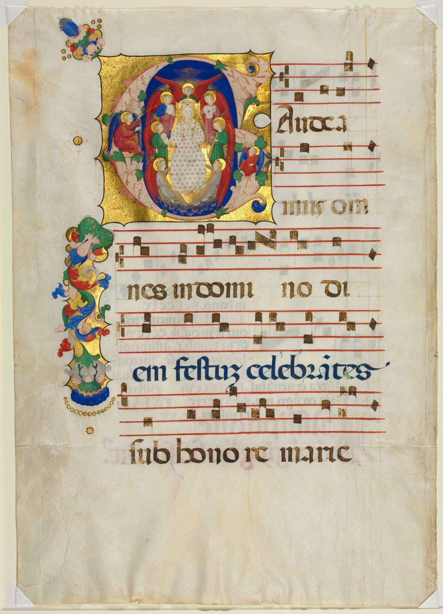 Feuille d