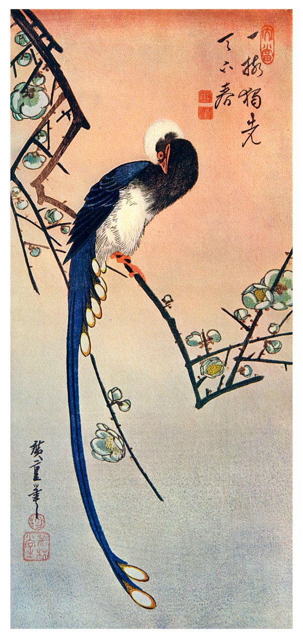 Oiseau bleu à longue queue sur une branche de prunier en fleur, 19ème siècle - Unbekannt