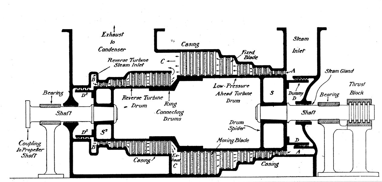 Section longitudinale d