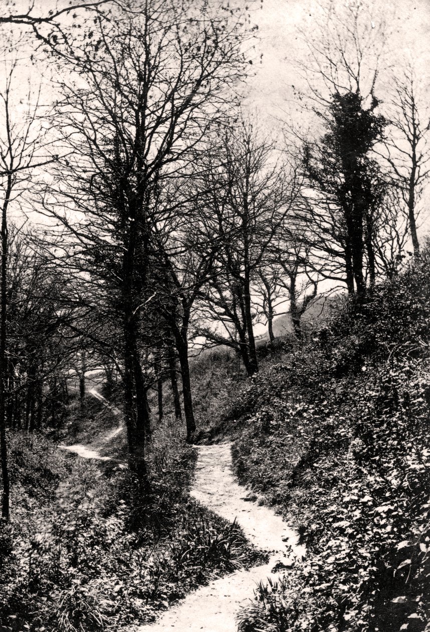 Lovers Lane, Fairlight, Hastings, Sussex - Unbekannt