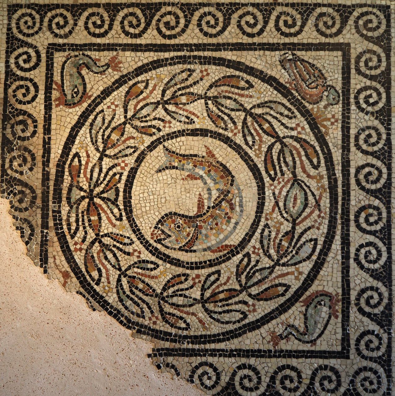 Lyon, région Auvergne-Rhône-Alpes, département du Rhône. 69000. Mosaïque de Choulans, découverte en 1967. Représentant un poisson - Unbekannt