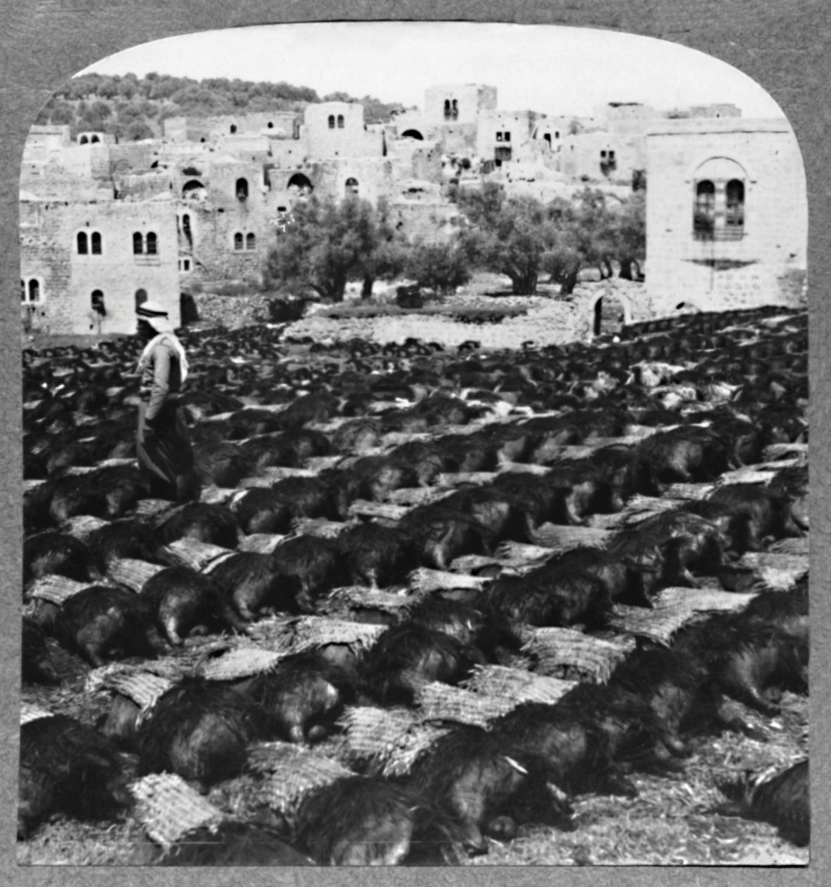 Fabrication de bouteilles de vin, Hébron, vers 1900 - Unbekannt