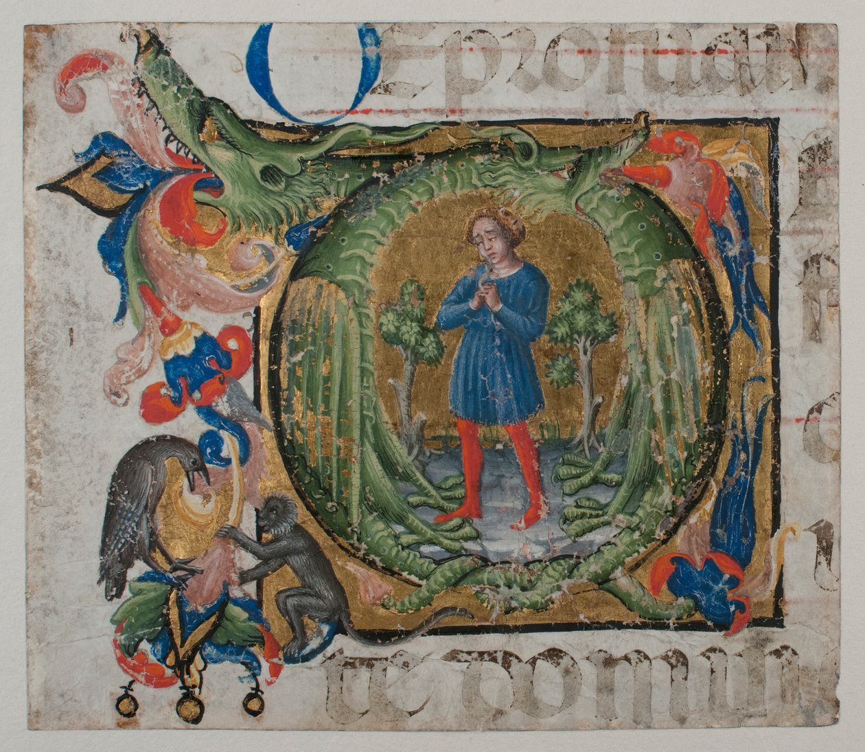 Enluminure de manuscrit avec initiale Q, d