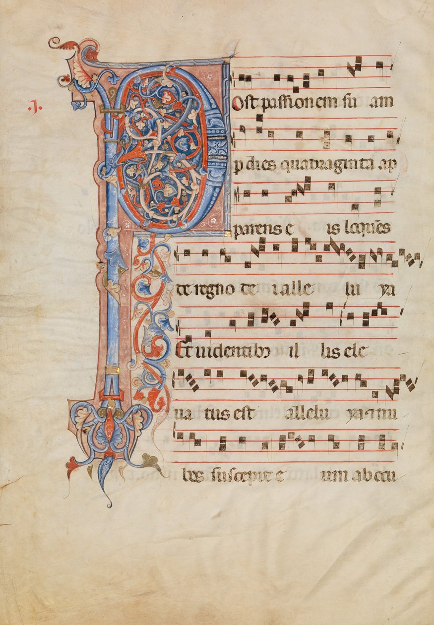 Feuille de manuscrit avec initiale P feuillue, d