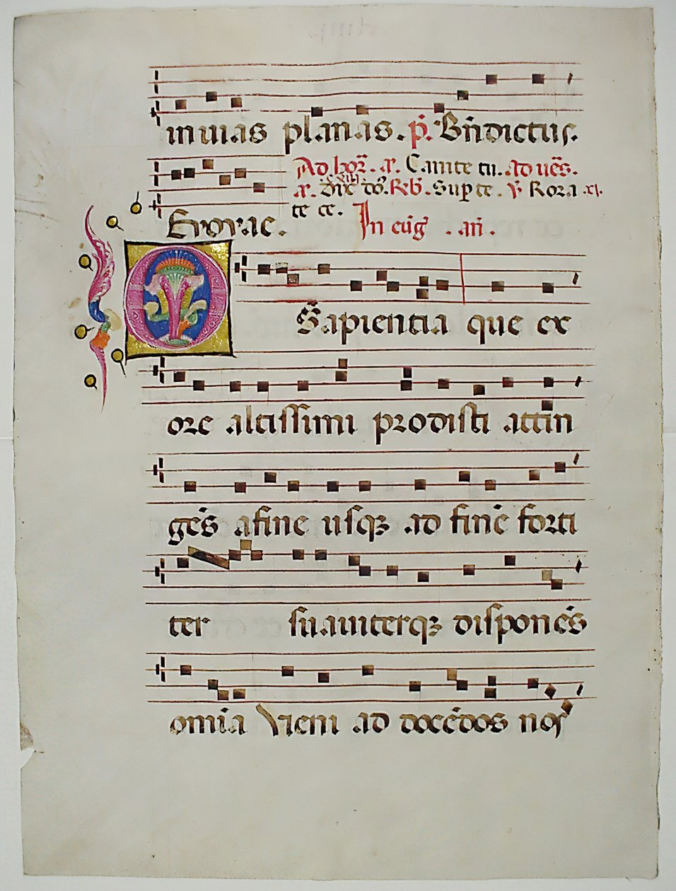 Feuille de manuscrit avec initiale O, d