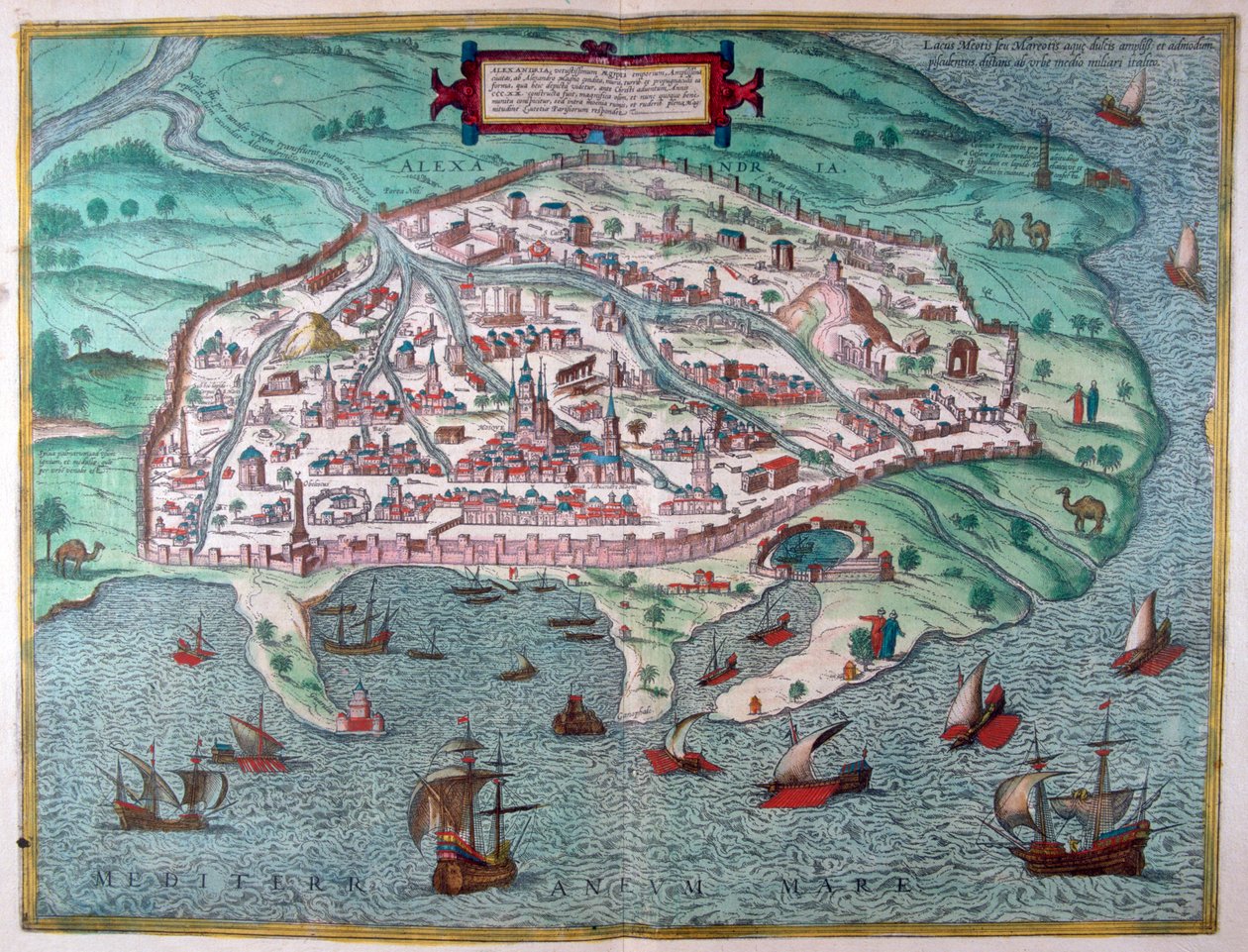 Carte d