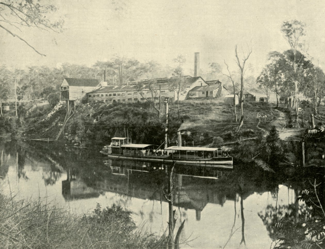 Usine de viande, près de Grafton, Nouvelle-Galles du Sud, 1901 - Unbekannt