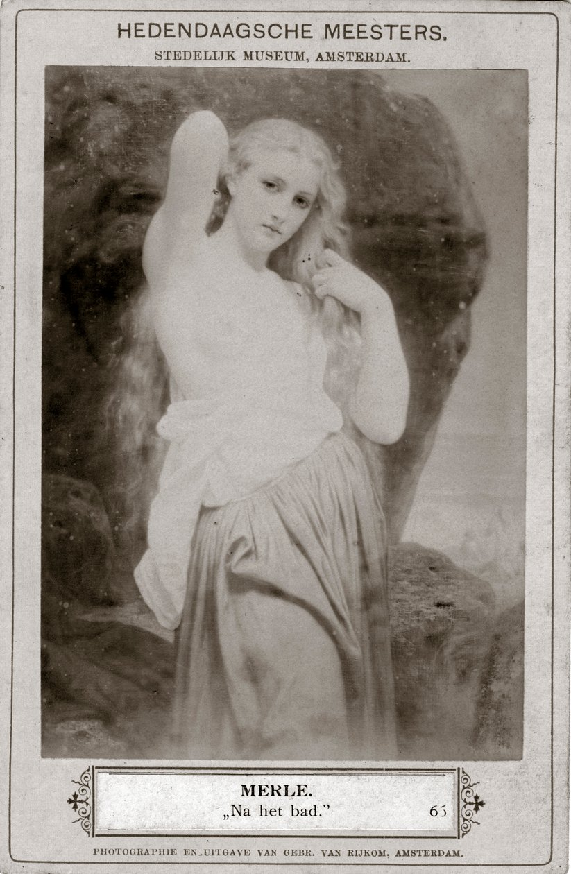 Merle, 19ème siècle - Unbekannt