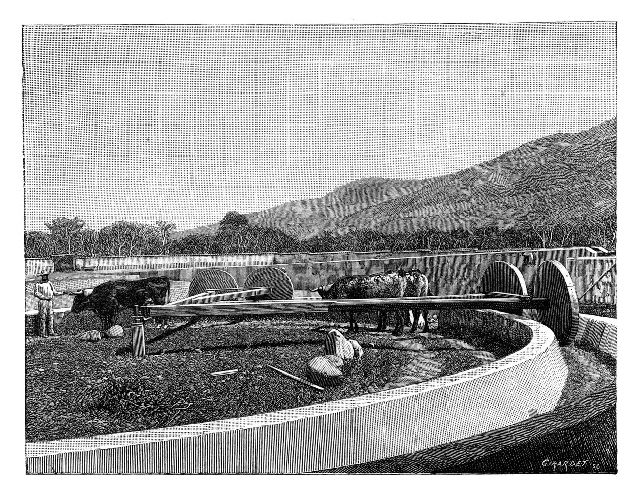 Moulin pour décortiquer le café, Amérique centrale, vers 1890 - Unbekannt