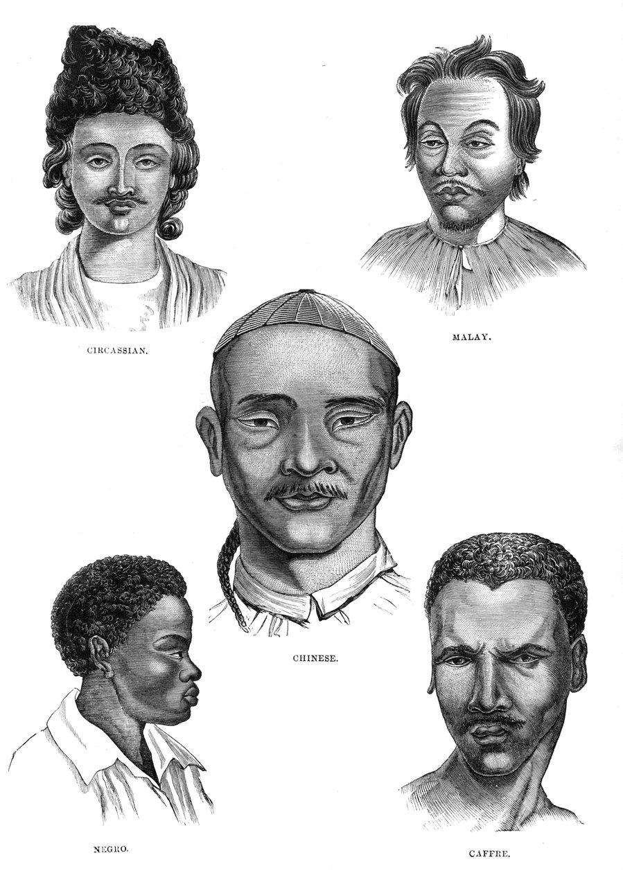 Races mongoles, 19e siècle - Unbekannt