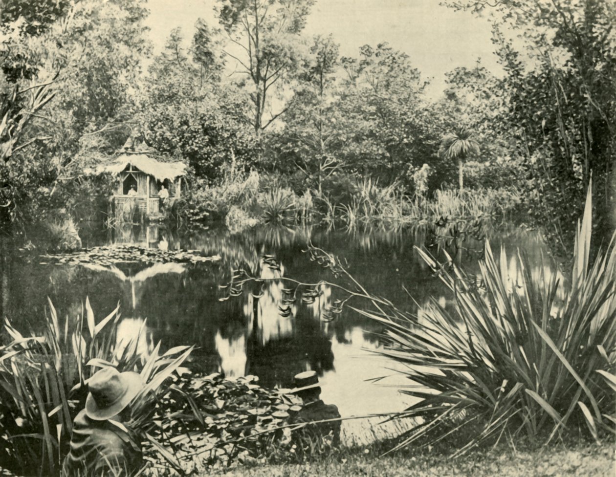Les jardins de M. Ryan, Mount Macedon, Victoria, 1901 - Unbekannt