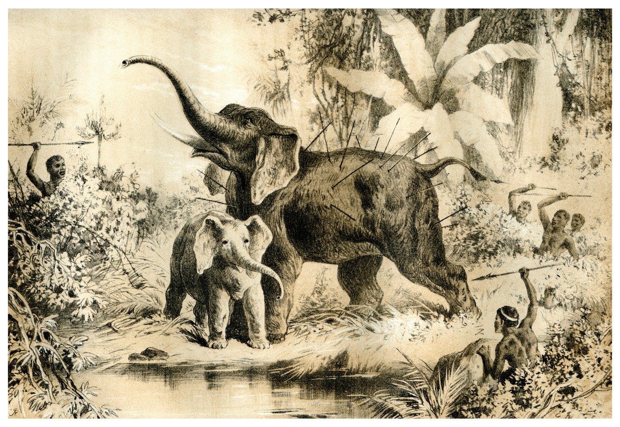 Autochtones harponnant un éléphant, 1883 - Unbekannt
