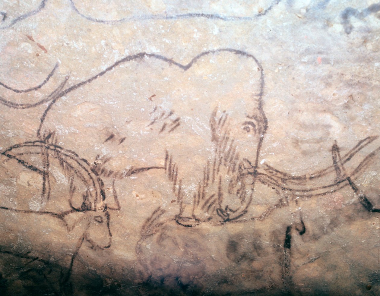 Peinture rupestre néolithique de mammouth et d