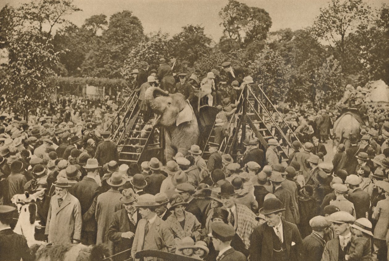 Un des signes de notre civilisation : Jardins zoologiques bien garnis pour ravir les curieux, c193 - Unbekannt