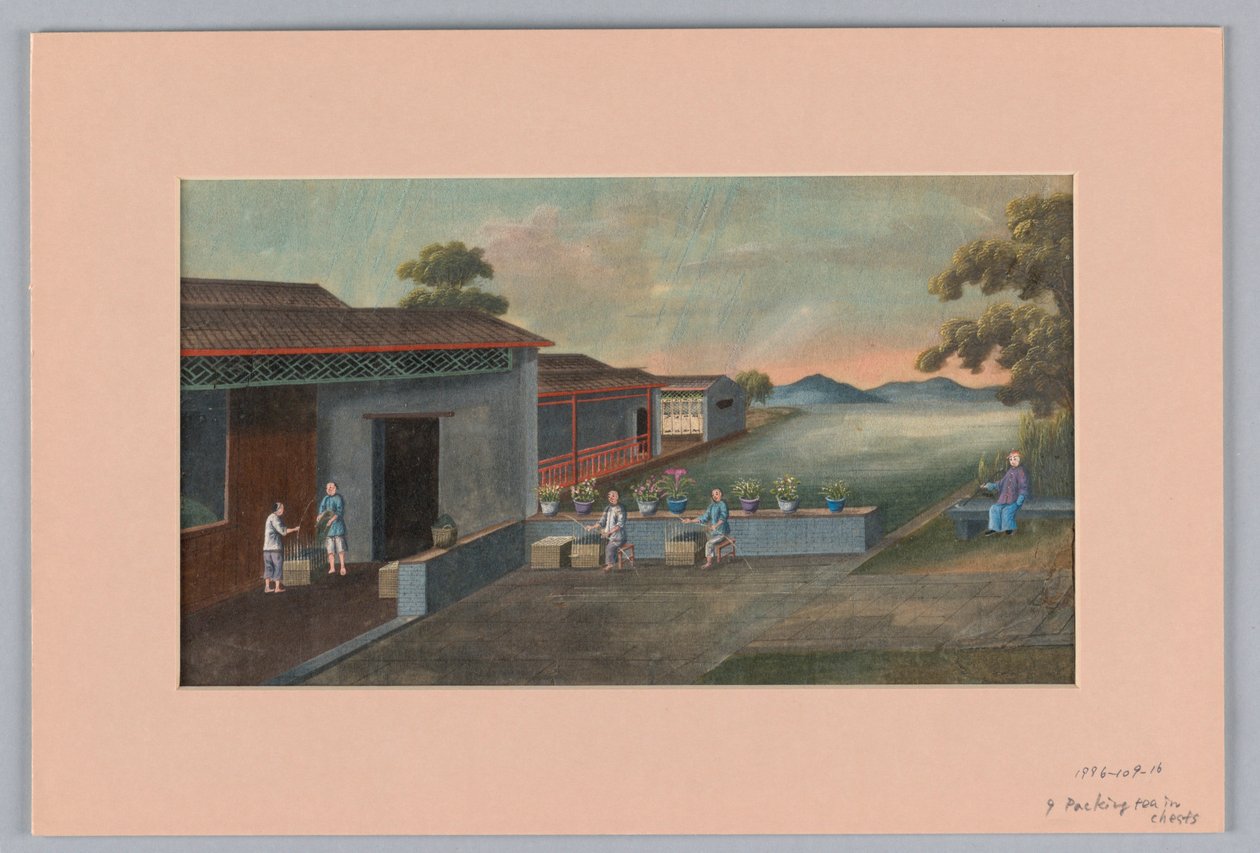 Emballage du thé dans des caisses, 1890-1910 - Unbekannt