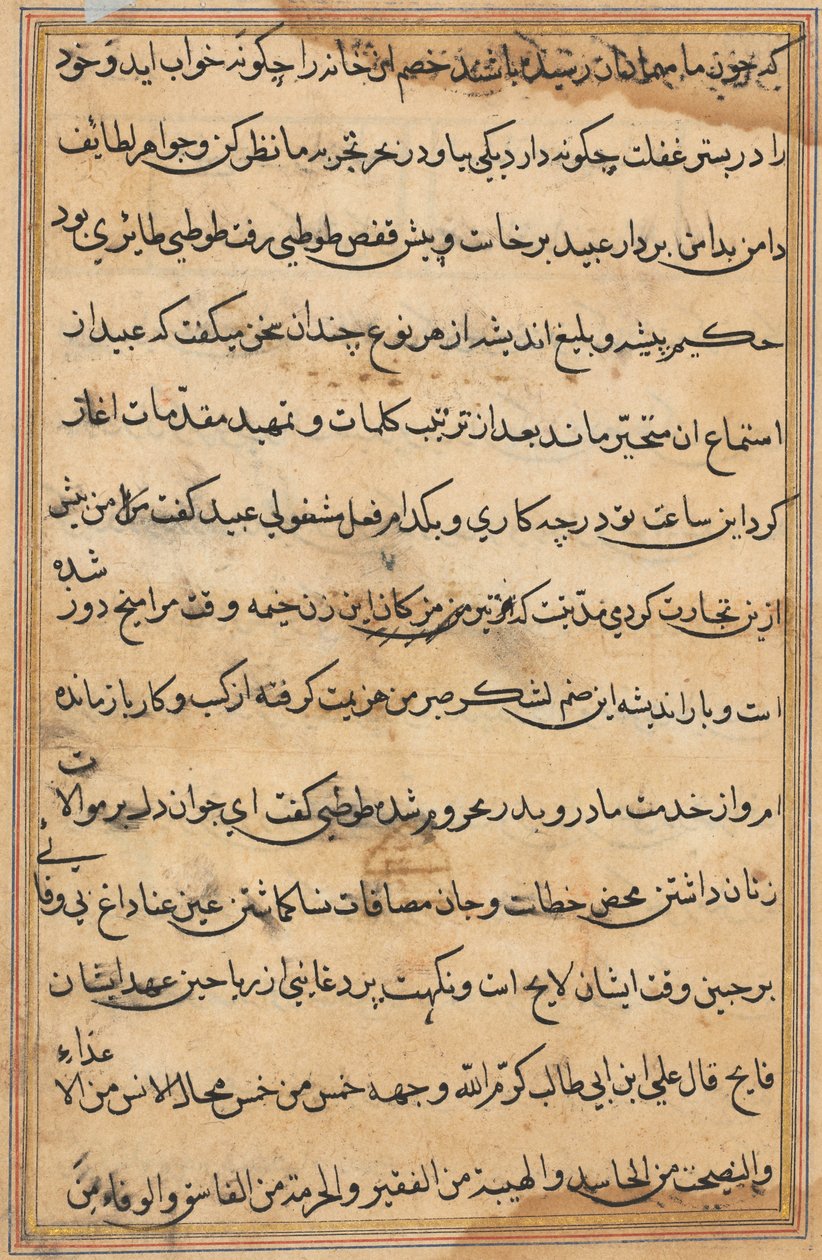 Page du Tuti-nama : page de texte - Unbekannt