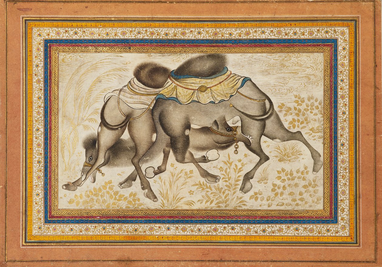 Page d