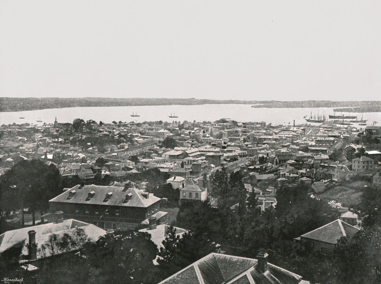 Vue panoramique des collines, Auckland, Nouvelle-Zélande, 1895 - Unbekannt