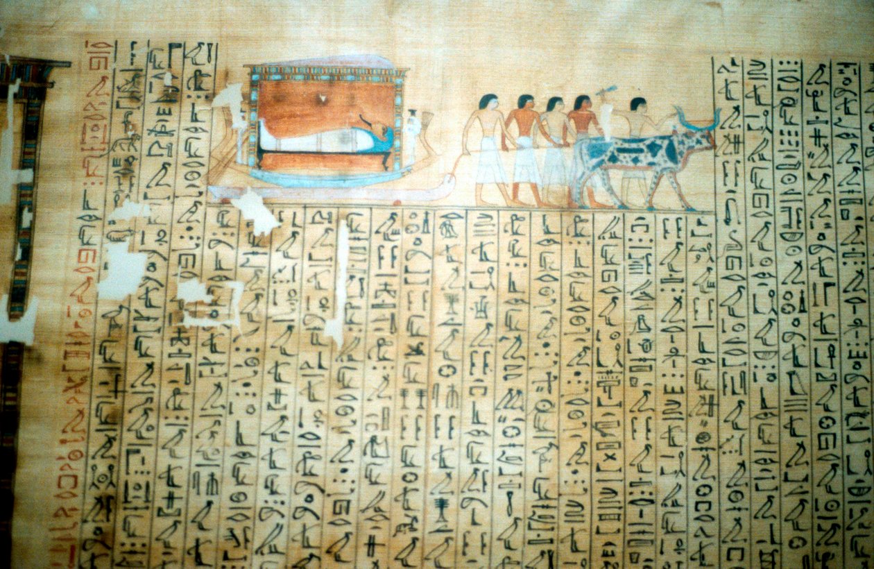 Papyrus d