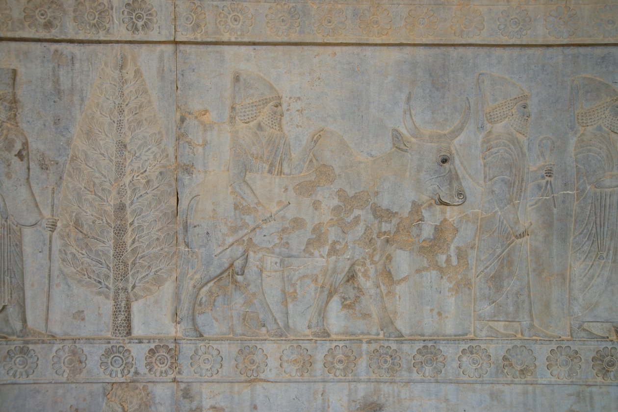 Persépolis, Iran - Unbekannt