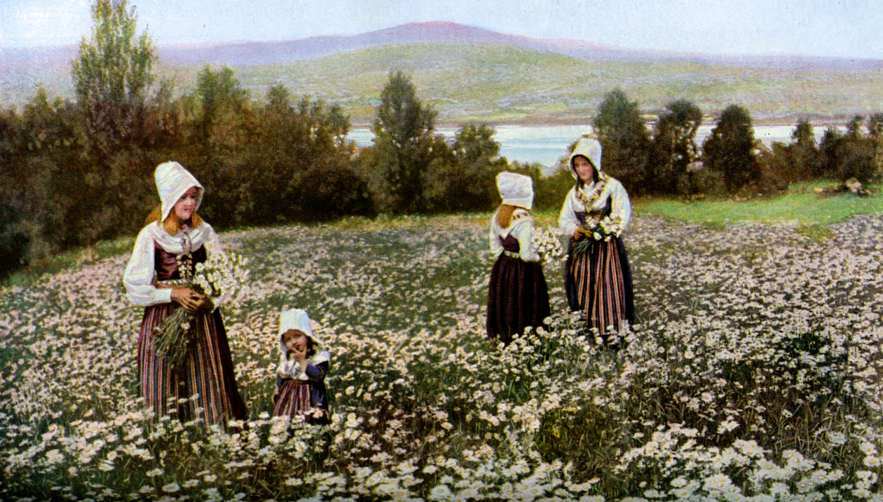 Cueillir des fleurs dans un pré près de Leksand, Suède, vers 1923 - Unbekannt