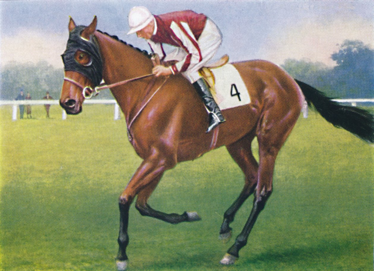 Portobello, Jockey : P. Beasley, 1939 - Unbekannt