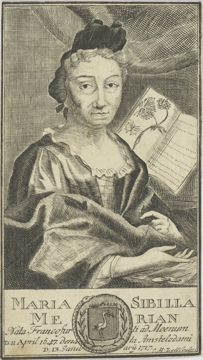Portrait de Maria Sibylla Merian 1647-1717, 1755 - Unbekannt
